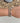 Beaded Bracelets