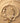 Shell Necklace
