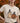 Ghost & Pumpkin Tee