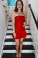 Straples Mini Dress Red